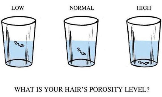 What is Hair Porosity ( Low, Normal & High)