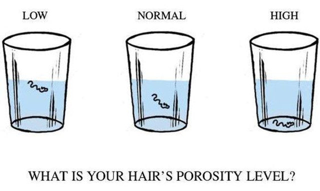 What is Hair Porosity ( Low, Normal & High)